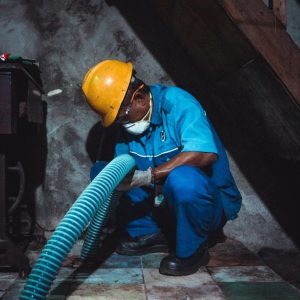 Jasa sedot kotoran hewan ternak Surabaya