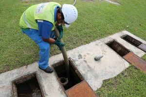 Jasa sedot kotoran hewan ternak Tuban