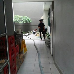 Jasa sedot kotoran hewan ternak Lumajang