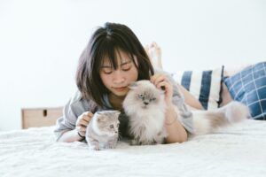 Manfaat Memelihara Kucing Untuk Kesehatan